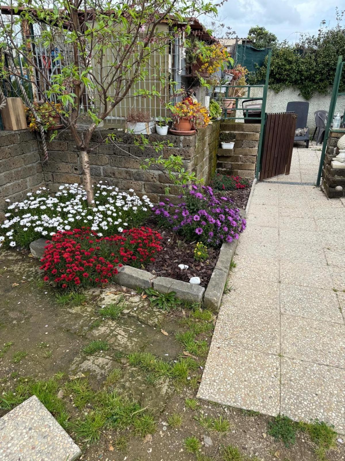 Flower House Civitavecchia Exterior photo