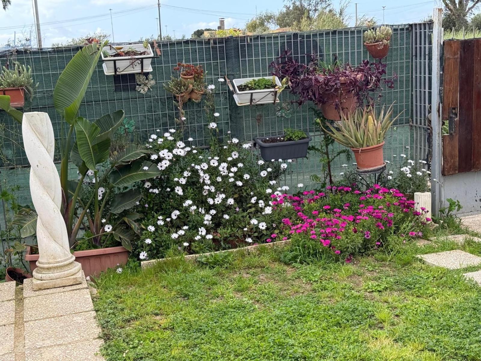 Flower House Civitavecchia Exterior photo